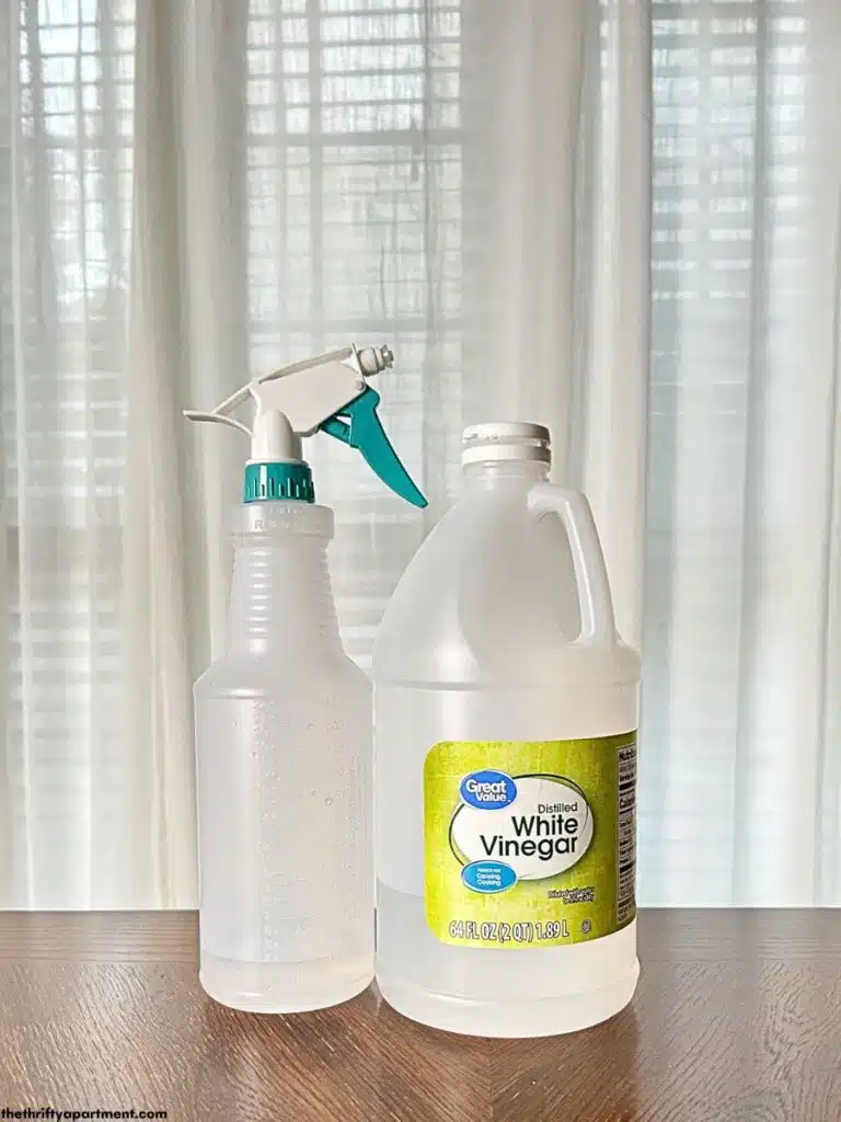 vinegar with spray bottle