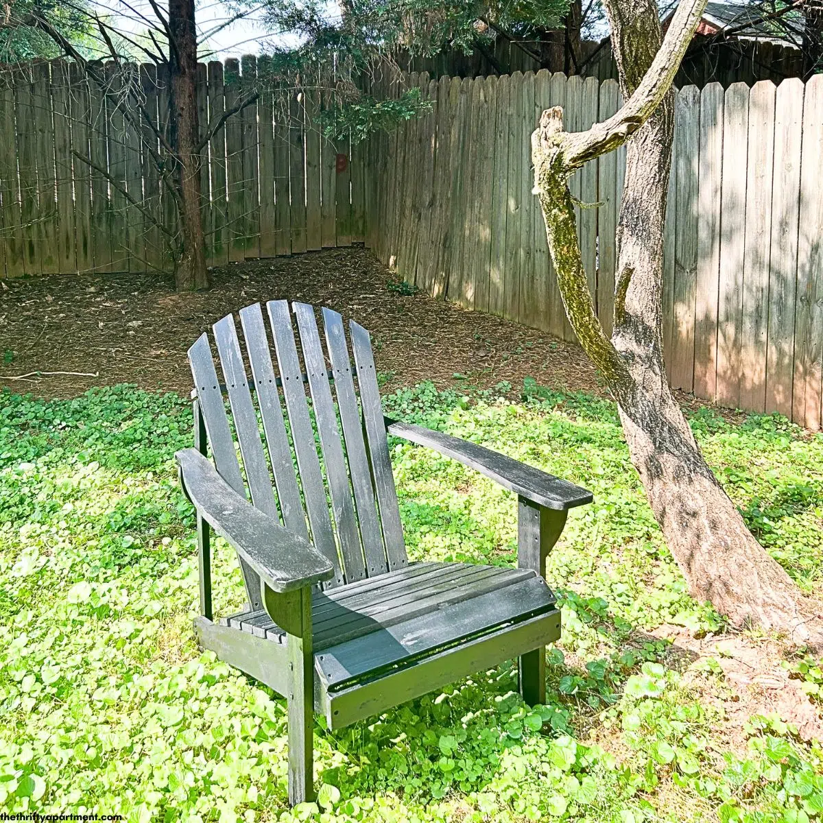black adirondack chair next to tree