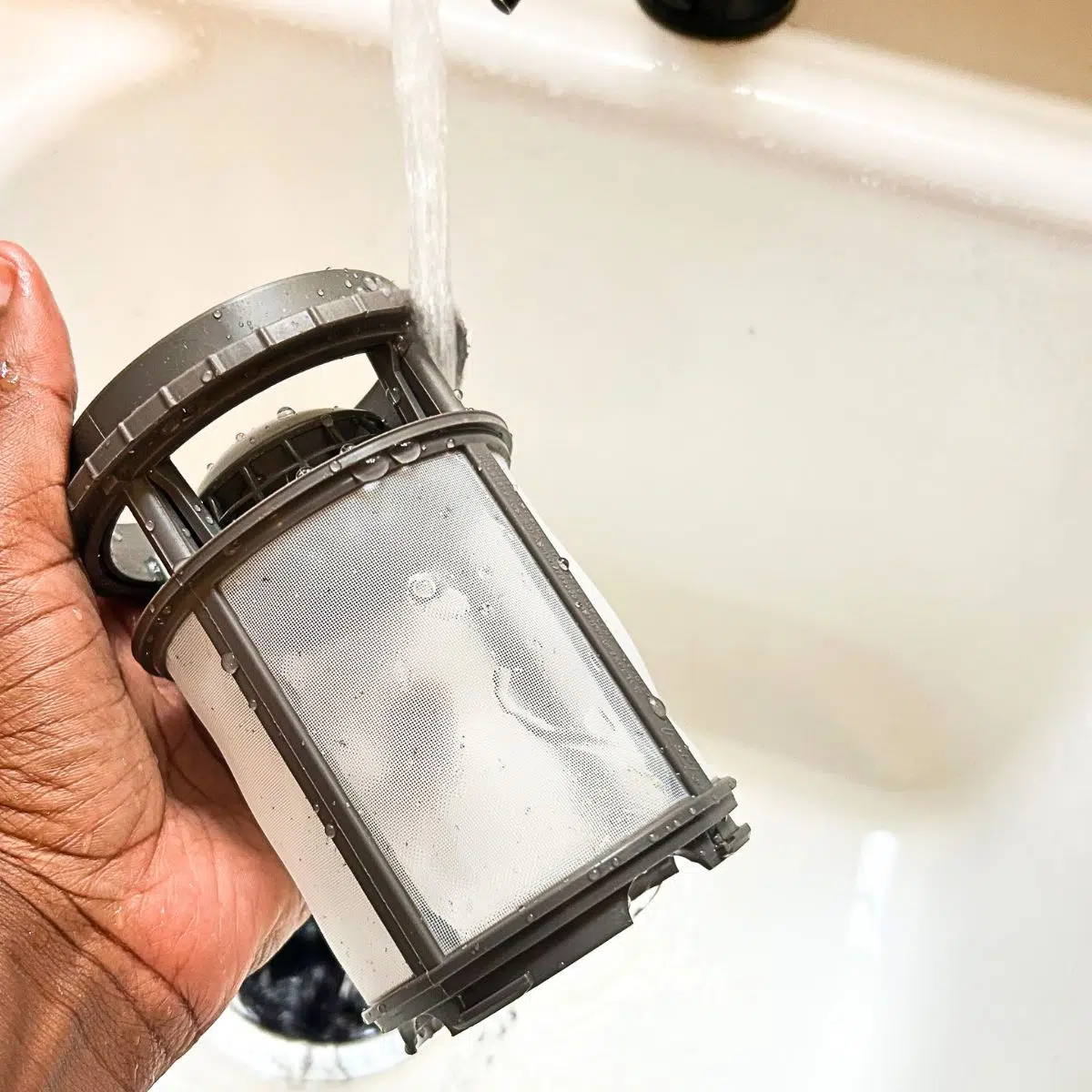 dishwasher filter