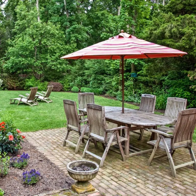 backyard outdoor area
