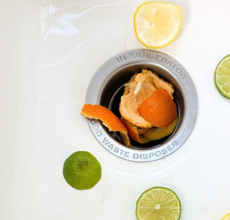 garbage disposal with oranges