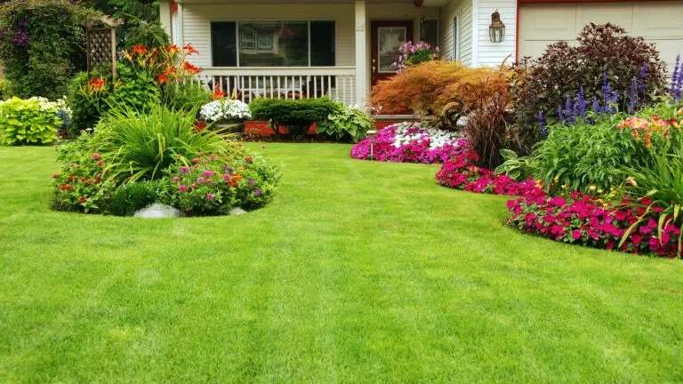 well manicured lawn