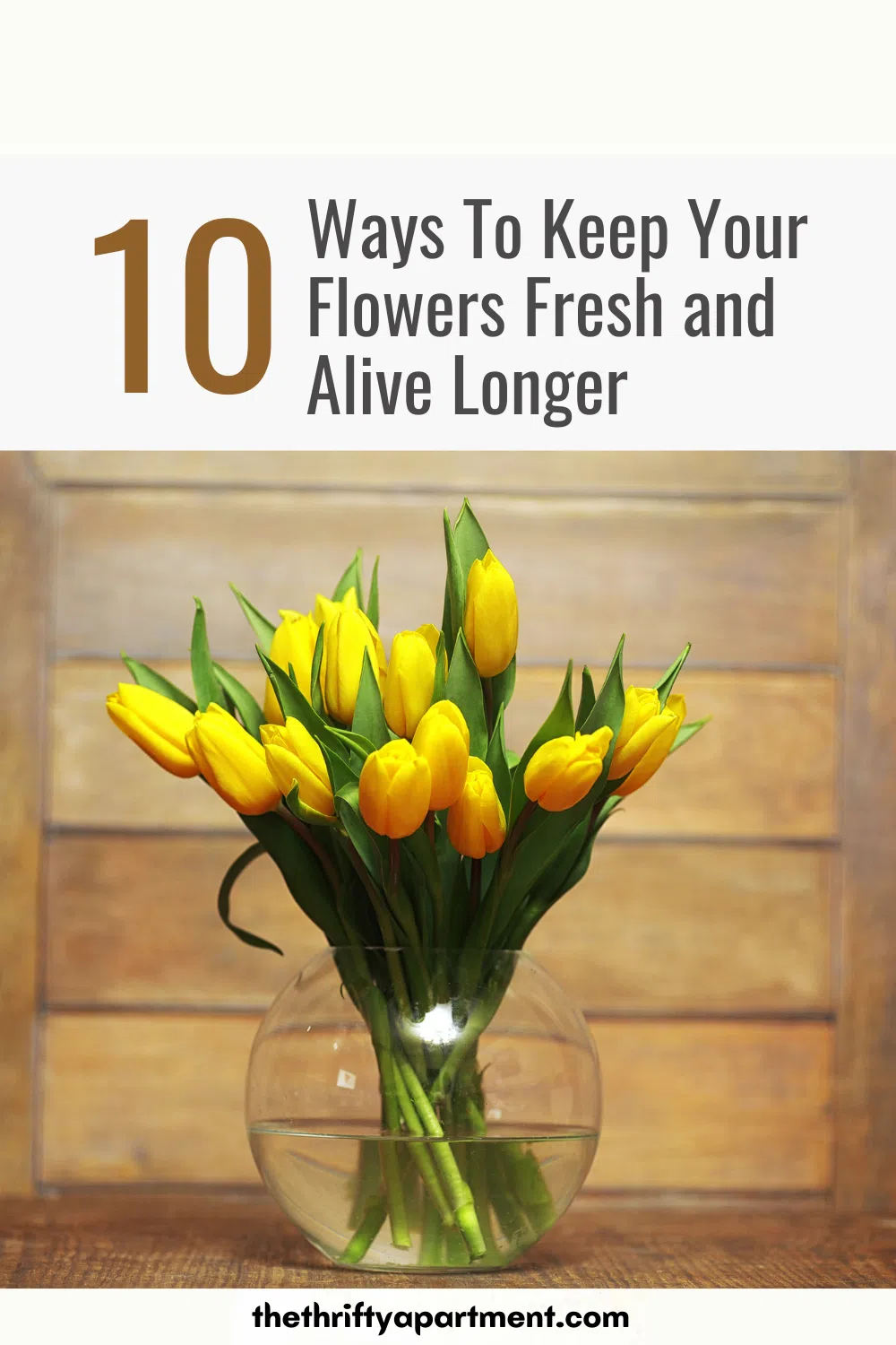 10 Ways To Keep Your Flowers Fresh and Alive Longer