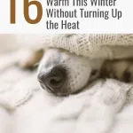 18 Frugal Ways to Stay Warm This Winter Without Turning Up the Heat