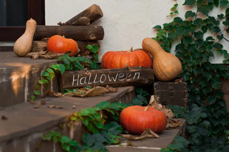 pumpkins and squash