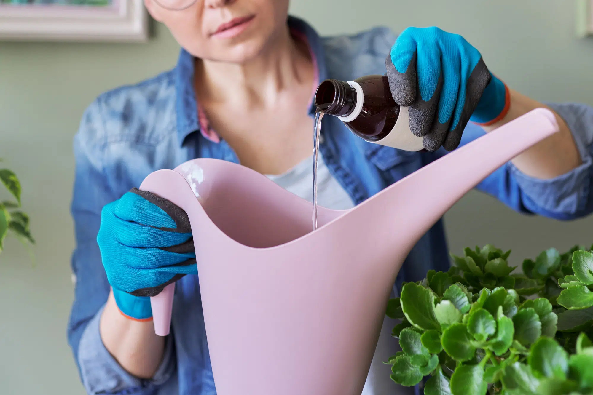 hydrogen peroxide in watering plants