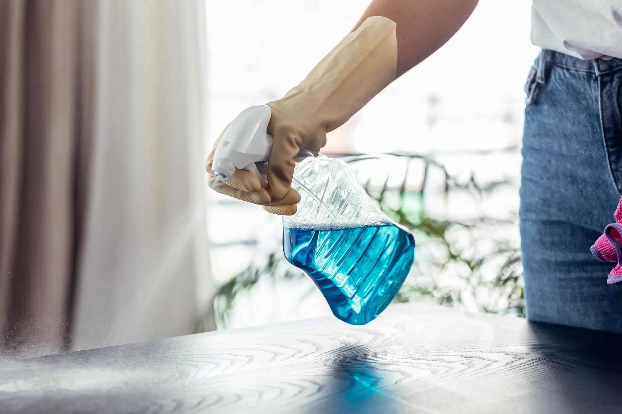 Close up of young woman hands with gloves cleaning the table with a spray at home windex