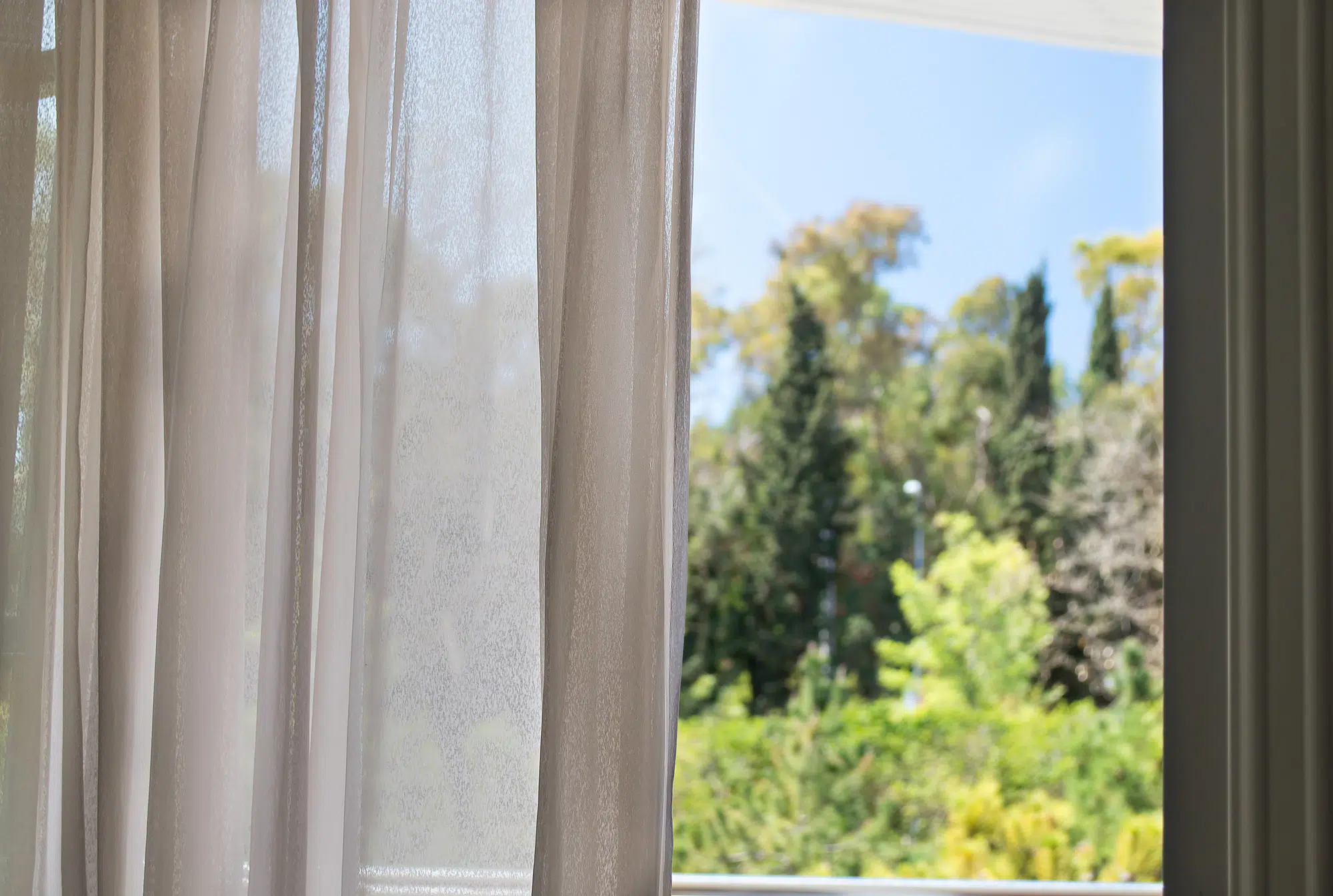 curtains moving in the wind against a background of a forest