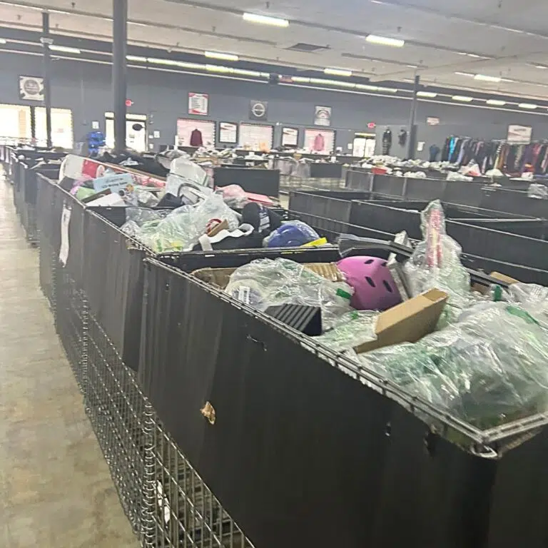 amazon bin store