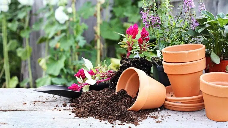 14 unexpected Martha Stewart home hacks we’re actually obsessed with