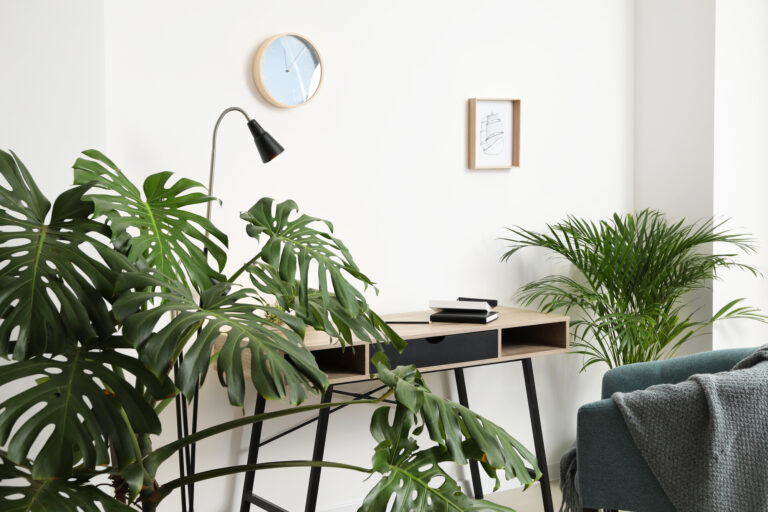 If Your Houseplants Have Brown Tips, This Is What’s Probably Causing It