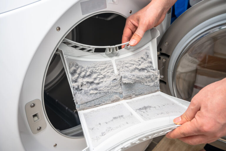Dust and dirt trapped by the clothes dryer filter