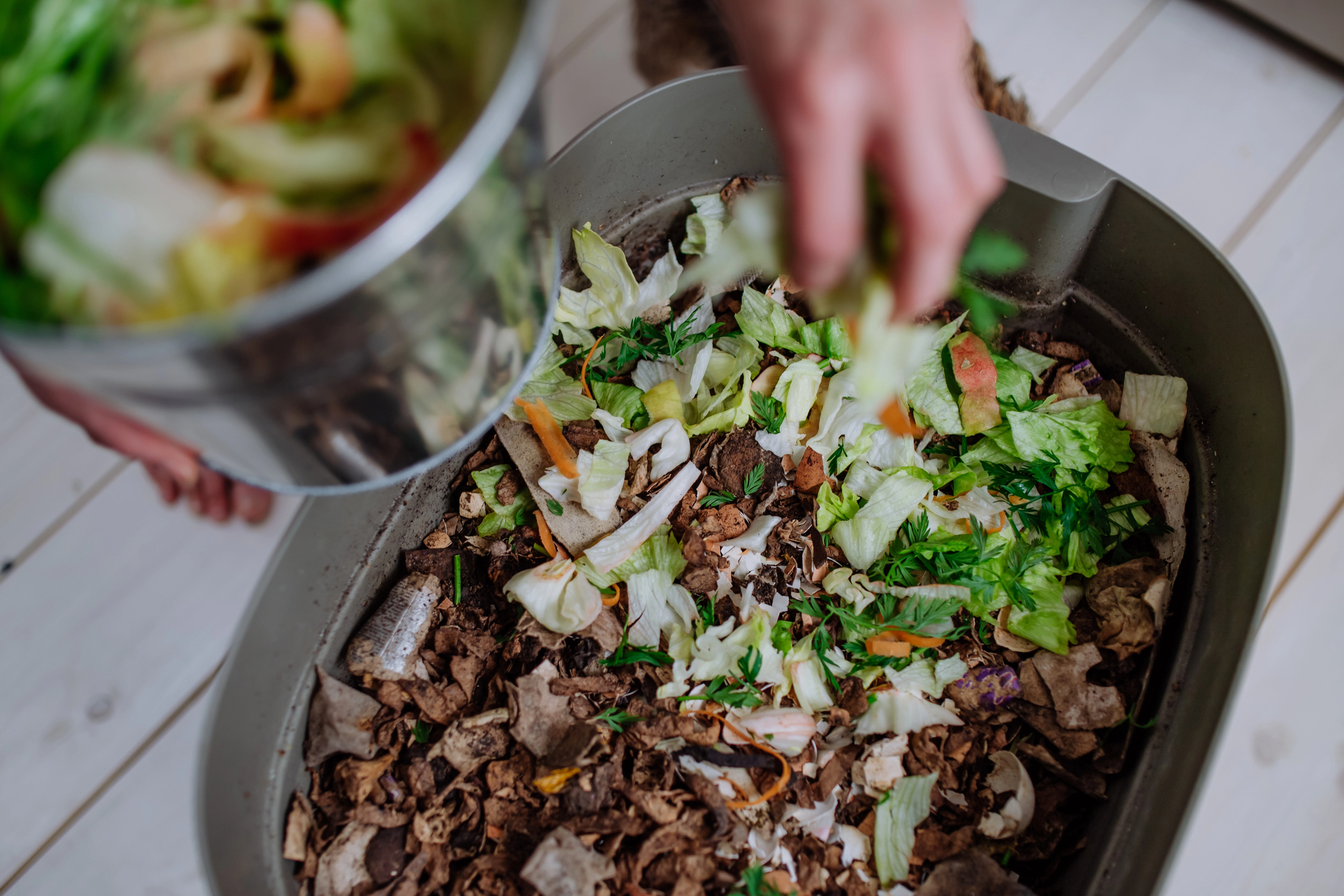 composting bin
