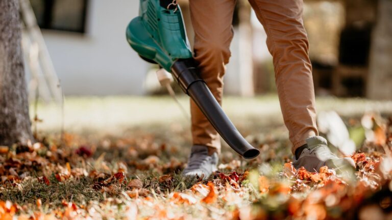 leaf blower