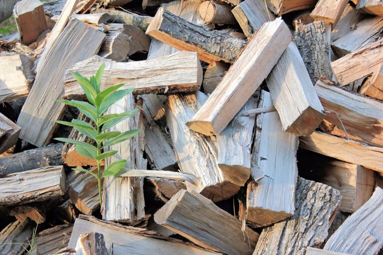 woodpile wood