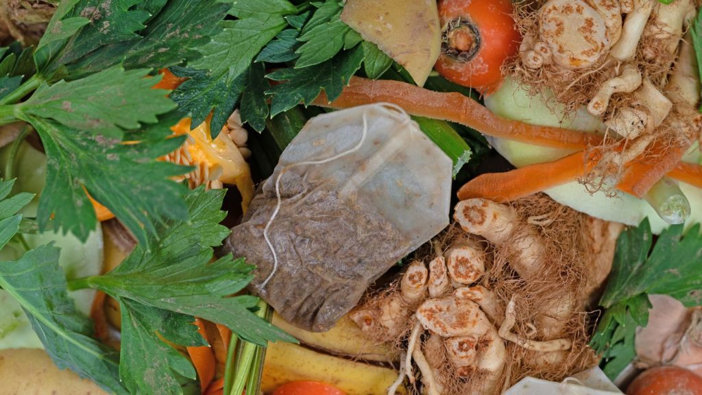 compost-tea-1024x576