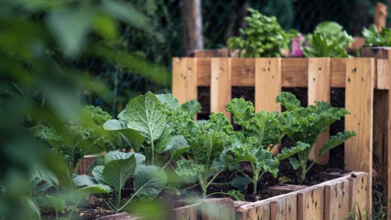 14 Vegetables That Grow in 30 Days or Less