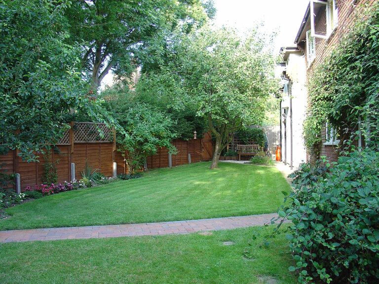 backyard house