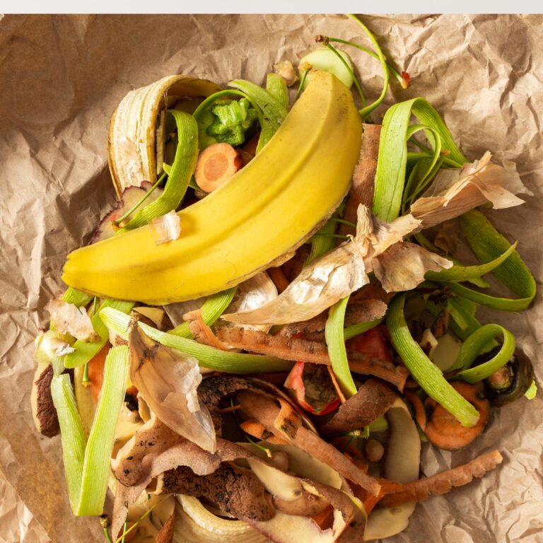 10 Kitchen Scraps You Should Be Using in the Garden