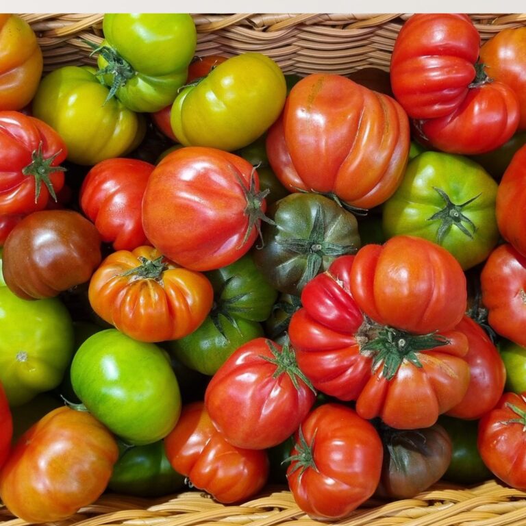 15 Foods We’ve Been Calling Vegetables for Years—But They’re Actually Fruits