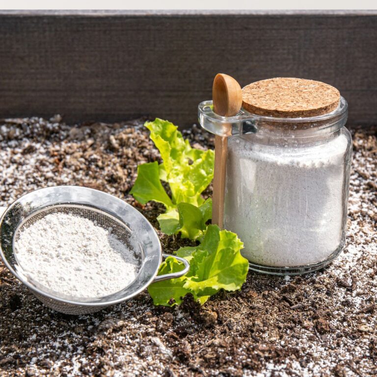 Why You Should Keep a Bag of Diatomaceous Earth in Your Utility Closet