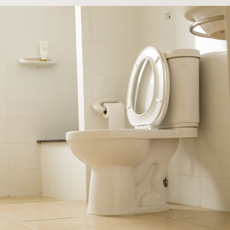 Should You Leave the Toilet Lid Open or Closed When It’s Not in Use?