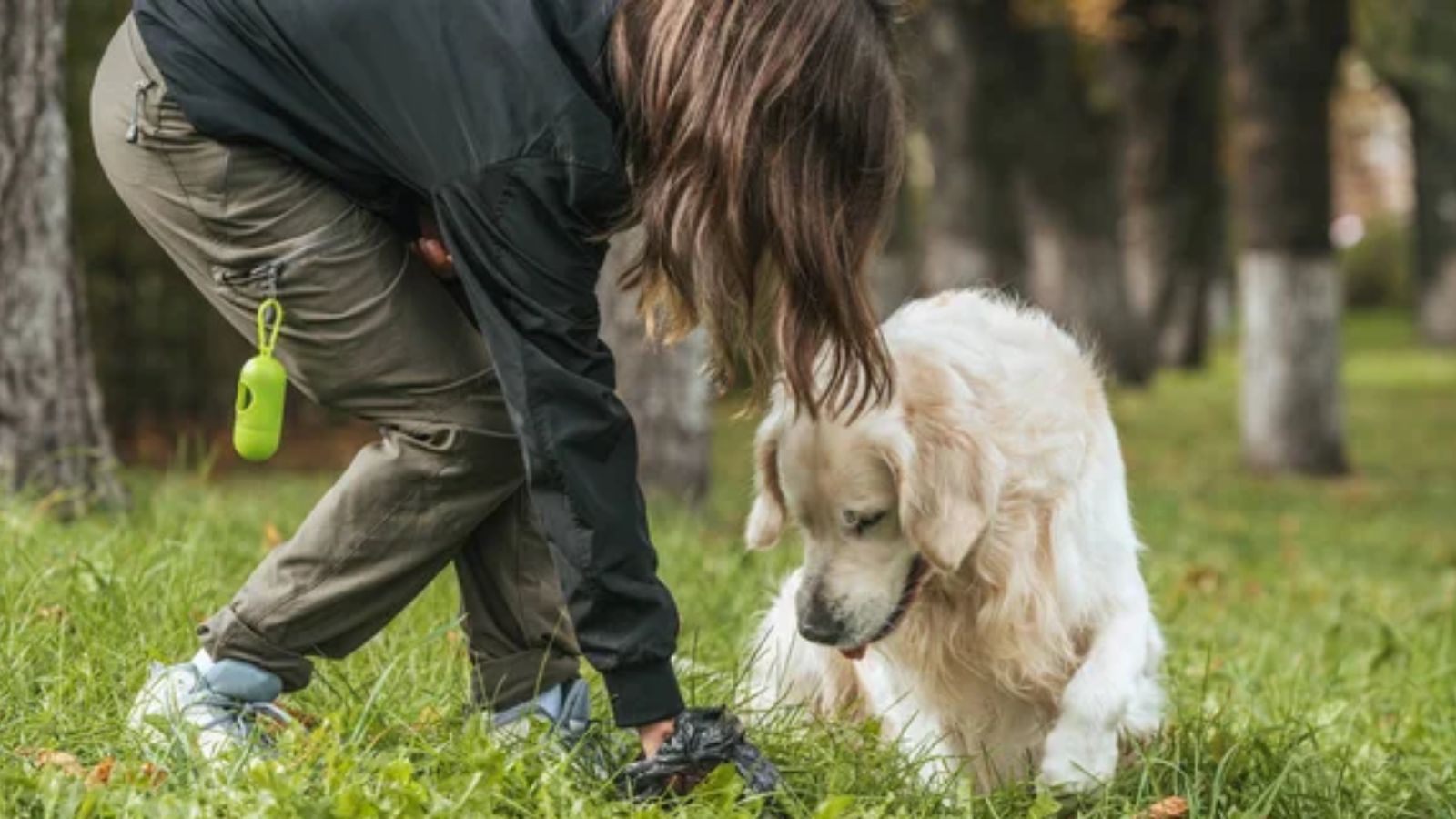 Pet Waste
