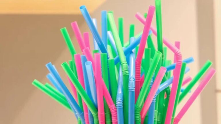 Don’t Toss These Into Your Recycling Bin—They Probably Won’t Be Recycled