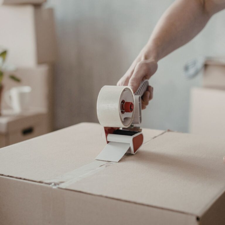 13 Things You’ll Regret Storing in Cardboard Boxes