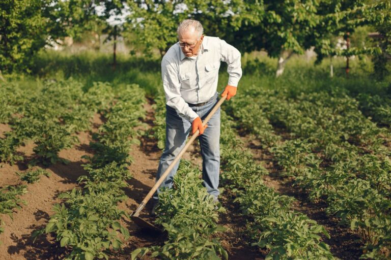 older guy in the garden