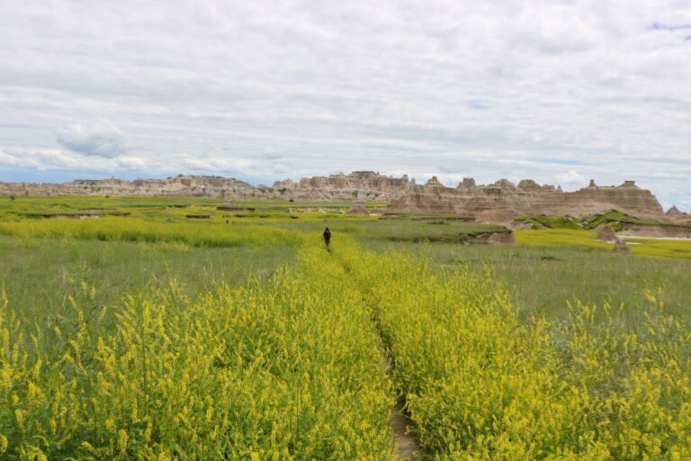 The Badlands