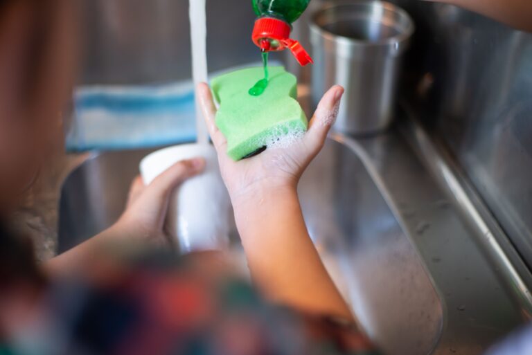 Dish Sponges