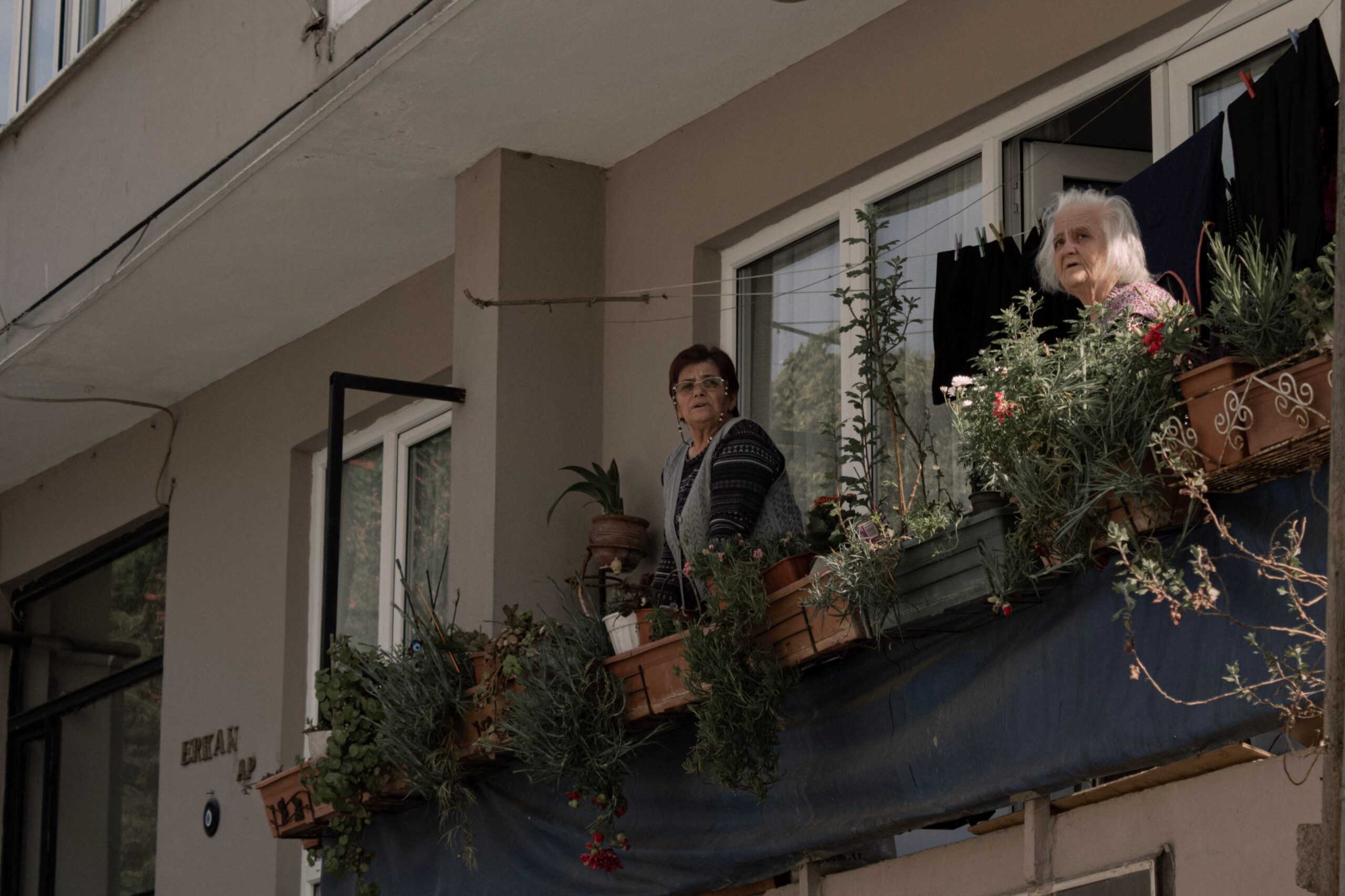 Neighbors